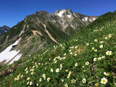 2018夏　北アルプス 唐松岳ー五竜岳縦走～絶景のお花畑と雪渓歩き・五竜山荘に泊まる週末旅～