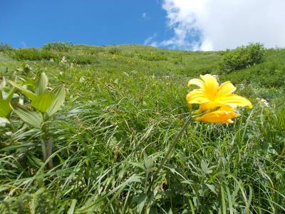 白山日帰り登山