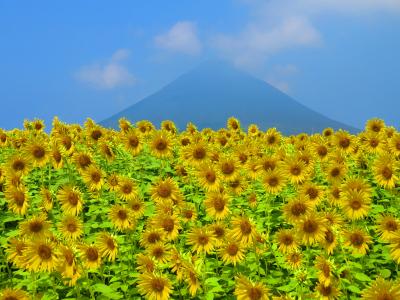 真夏の南九州ぐるり一周の旅