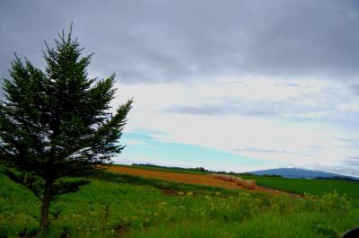 夏休み北海道