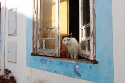 ポルトガル・スぺイン　ドライブ旅行記    15日目③　 アルブフェイラ編