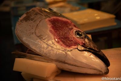 名古屋柳橋中央市場の朝