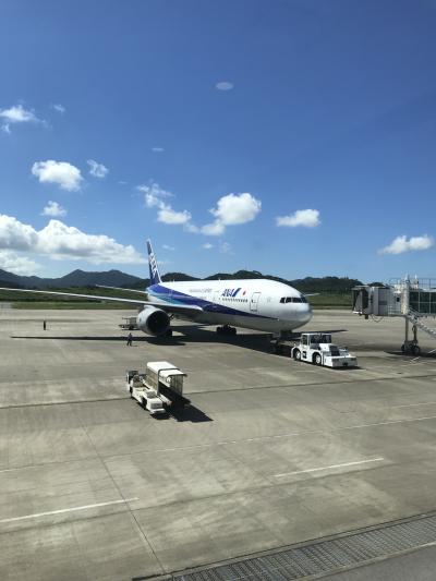 八重山旅行♪( ´▽｀)なのに...最終日