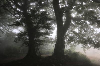 雲がかかって何も見えなかった筑波山だけど、初めての一人ショートトリップは楽しかった♪