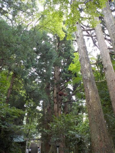 御朱印あつめ 白山ひめ神社