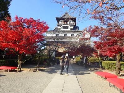 愛知・伊勢志摩の旅（４）紅葉の美しかった犬山城