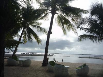 マクタン島泊、セブ島でジンベイザメと泳ぎ~ボホール島でメガネ猿 ①