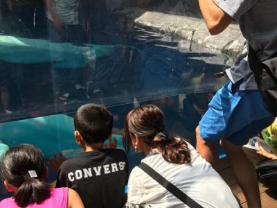 リニューアル上越市水族館良いぞ