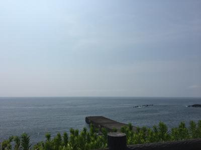 ジェット船で日帰り伊豆大島