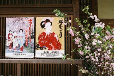 母 K子と行く京都 2007お花見　　　京都詣で No.6