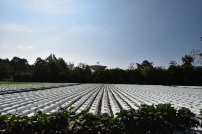 早起きした夏の日、野辺山天文台の見学と 風土記の丘ランチ＆御殿場の手打そば金太郎