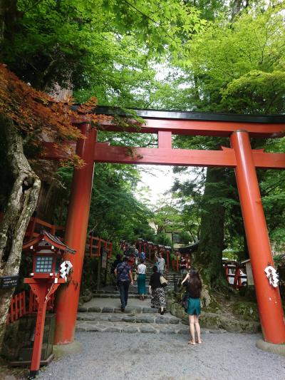 お盆中の避暑地京都日帰り旅行