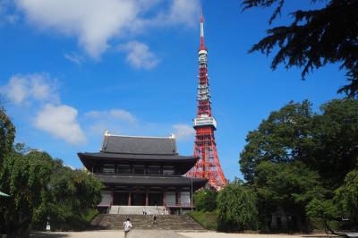 ８月の東京へ！≪Part３≫　増上寺で御朱印を、山種美術館の椿カフェでまったり。