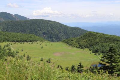 初夏の湯の丸高原、池之平湿原はさわやかなり