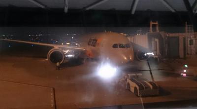 ワインの里クレアでホームステイ(オーストラリア)1 関空からケアンズへ