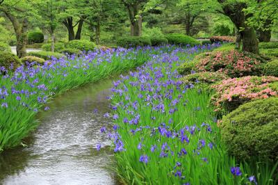 愛車で行く日本一周の旅 16