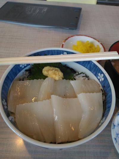 18きっぷで北海道へ～7日目　函館から小樽へ