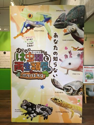 3歳児と行く☆なかがわ水遊園