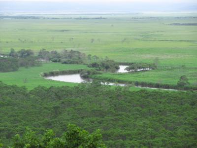 釧路湿原の絶景を求めて夏の道東へ