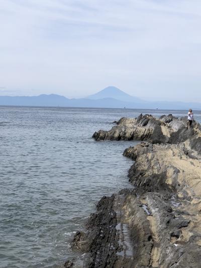 三崎マグロきっぷで行く 城ヶ島 日帰り旅行