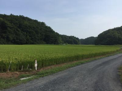 原付で行く坂東三十三観音北関東爆走編最終回