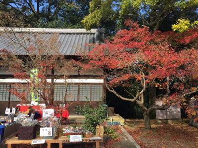 紅葉狩り IN 京都