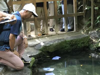 八重垣神社にて