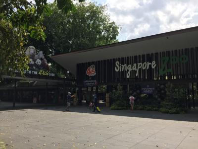 子連れDEシンガポール☆2018夏