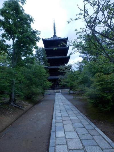 仁和寺参拝