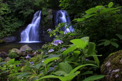 ◆涼風そよぐ羽鳥湖高原～滝と野の花めぐり　　
