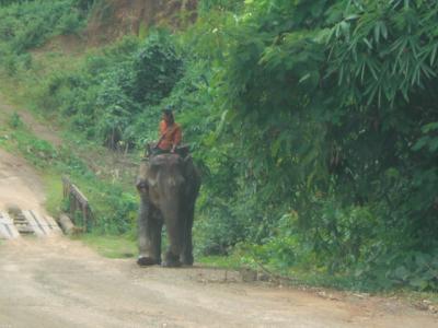 タイからミャンマーに、陸路にて入国し、ダーウェーまで、約３００ｋｍを走りました。
