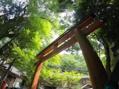 家族で貴船 川床と&宇治の抹茶パフェ