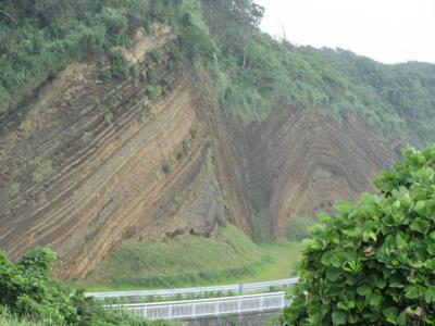 大島へ「しまぽ通貨」を使って行ってきました。