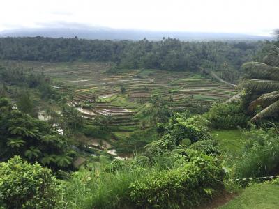 小学生の娘とバリ　その１エアアジアで