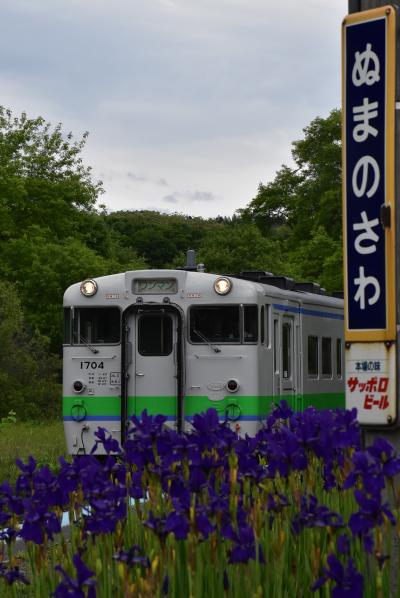 アヤメとルピナスの咲き誇る沼ノ沢駅 ～夕張支線最後の2018年夏～（北海道）