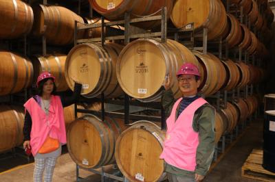 ワインの里クレアでホームステイ(オーストラリア) 3 クレア観光1