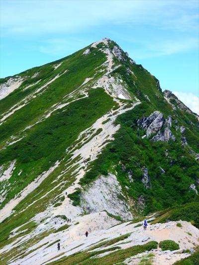 雷鳥探しー１【長野（唐松岳・Mt. Karamatsu-dake）編】