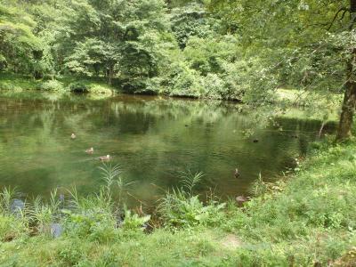 [2018年08月] 猛暑の夏休みは軽井沢、優雅にいかない子連れの避暑地