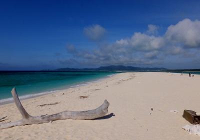 離島ミステリーツアーと言いつつ、はての浜写真で、久米島だ！！　２