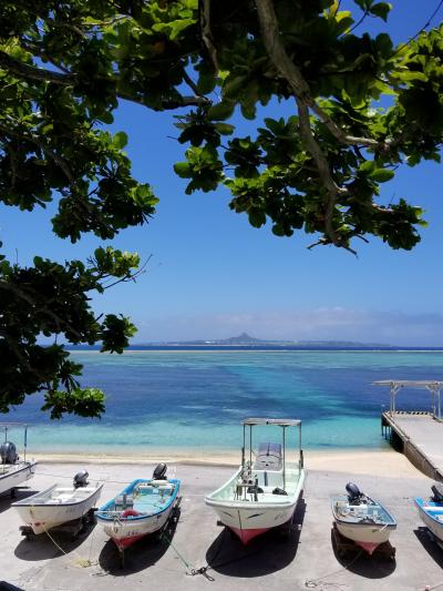 友人を訪ねて、美しい沖縄の海と「舞香花」（サガリバナ）の旅