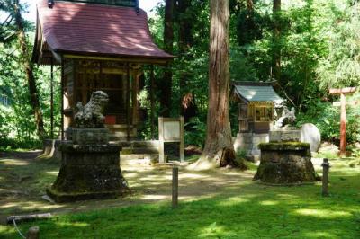 ふくい　境内に敷きつめた緑のカーペット　平泉寺白山神社 2018夏