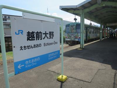 青春18きっぷの旅：相模大野から越前大野に行ってきた！