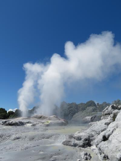 留学中の娘に会いに子連れでニュージーランド② ロトルア テ・プイア編