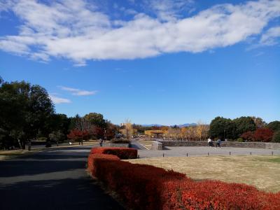 昭和記念公園で秋を満喫