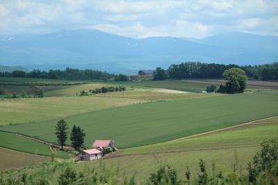 いつもと違う美瑛・富良野旅行～最終日美瑛～