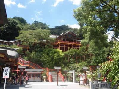 九州に？京の寺社あらわる