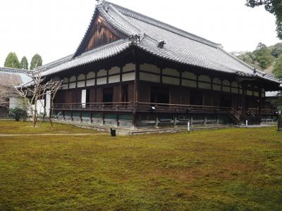 京都東山　青蓮院門跡散策