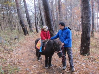 山梨県 子連れ旅行 に関する旅行記 ブログ フォートラベル