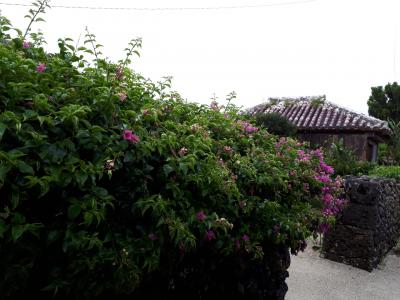 夏休みほとんど雨の石垣旅行☆三日目　みんさー工芸館　竹富島