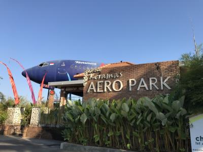 2018年9月　バリ出張記　KIX-SIN-DPS/ビジネスクラス　KeramasのAERO PARK（飛行機レストラン）に行ってきた。バイク焼けでUVカットの必要性を痛感したバリ島。編